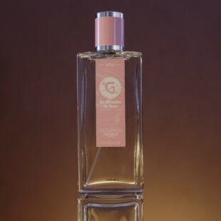 DE MEMOIRE DE ROSE